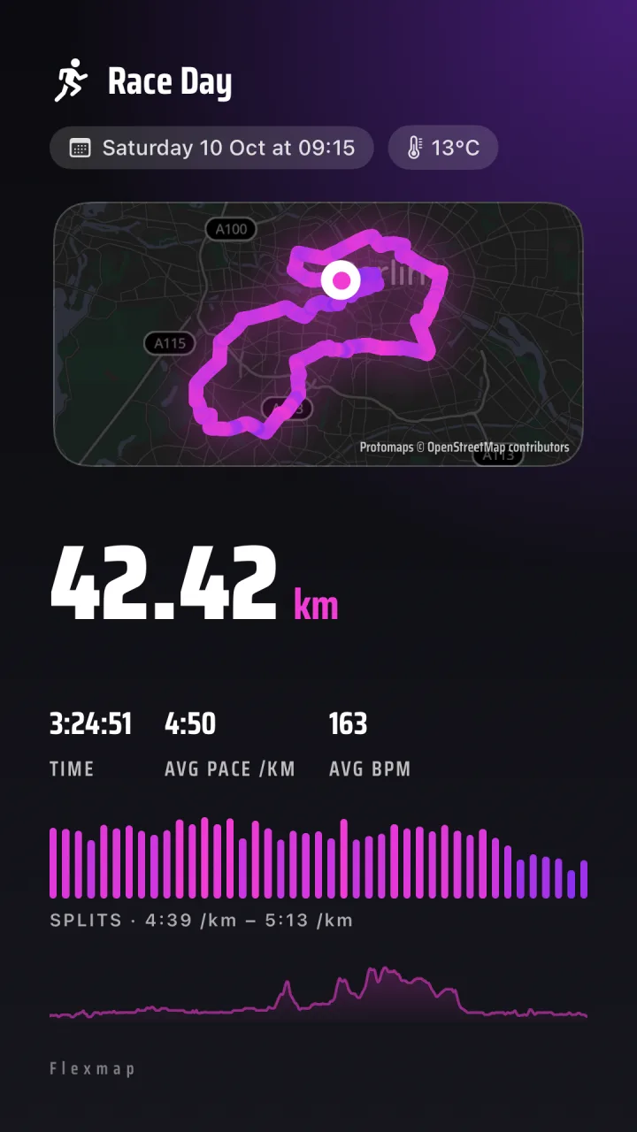 Race Day, grape palette